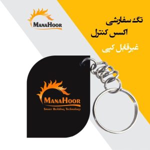 تگ سفارشی اکسس کنترل